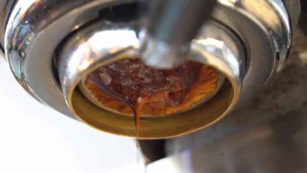 コーヒー専門のカフェで撮影されたシネマティックなクローズアップ 朝のコーヒーの完璧なカップを校正するバリスタ コーヒーマシンから抽出された新鮮なシングルオリジンエスプレッソ — ストック動画