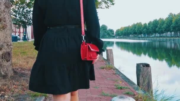 Mujer Torso Sexy Vestido Que Destello Con Cinturón Bolso Dama — Vídeo de stock