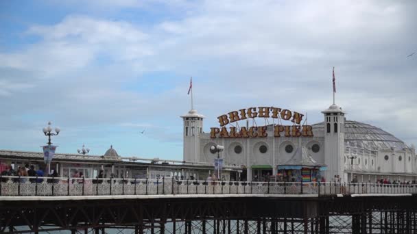 Turyści Mewy Odwiedzają Brighton Ikona Brighton Palace Pier — Wideo stockowe