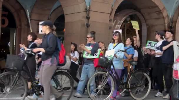 Protestující Demonstraci Klimatu Švédsku Statický Boční Pohled — Stock video