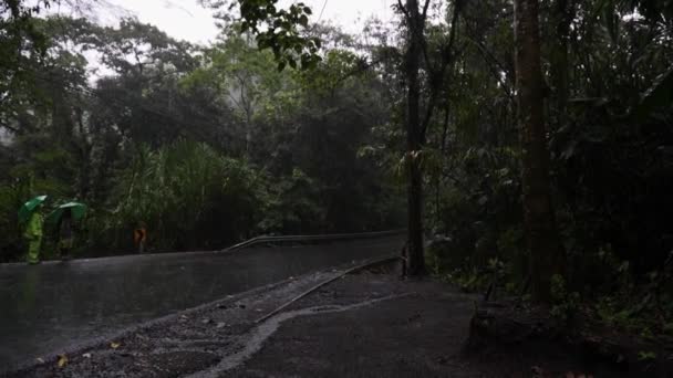 Menschen Mit Regenschirm Versuchen Während Der Regenzeit Costa Rica Eine — Stockvideo