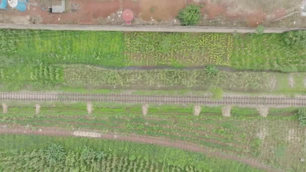 Aerial 尼日利亚乔斯高原的铁路 卡车右上方朝下射击 — 图库视频影像