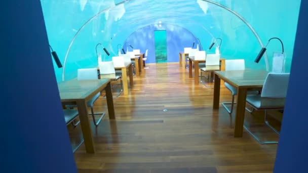 Walking Underwater Restaurant Maldives — Stock Video