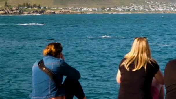 Hermanusの海岸線のクジラの監視の2人の女性 撮影で拡大 — ストック動画
