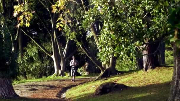 Atardecer Joven Corre Parque Hombre Forma Representado Trotando Parque Correr — Vídeo de stock
