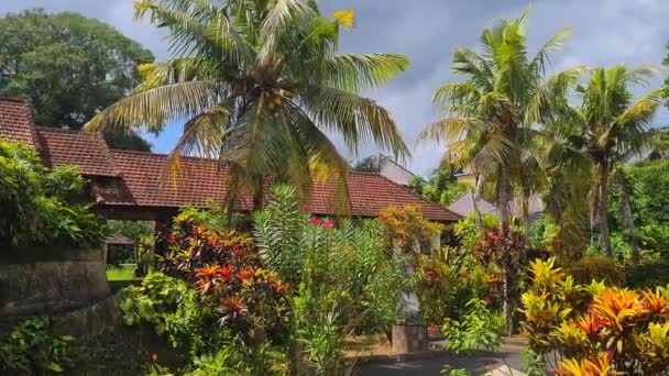 Kolorowy Ogród Tropikalny Wyspie Bali Indonezja Drzewa Rośliny Egzotycznym Kurorcie — Wideo stockowe