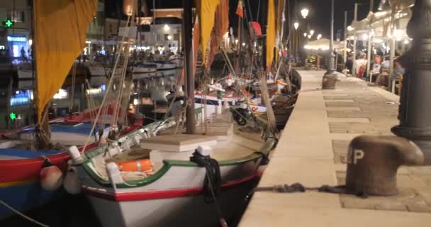 Vista Nocturna Del Canal Del Puerto Diseñado Por Leonardo Vinci — Vídeos de Stock