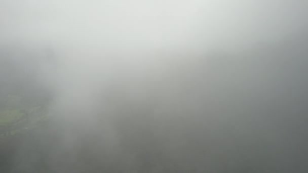 Drohne Taucht Aus Nebel Auf Der Über Unberührtem Baumkronen Regenwald — Stockvideo