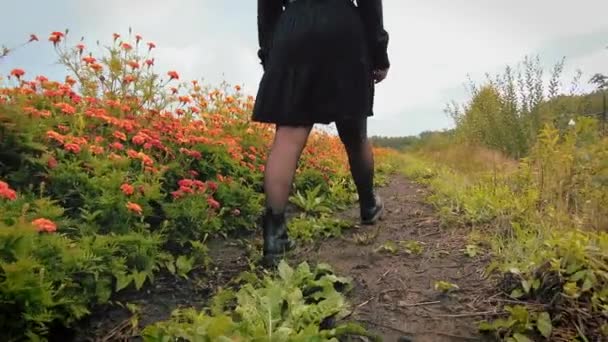 女子下半身 腿走路用橘红色菊花花园苗圃跟踪 — 图库视频影像