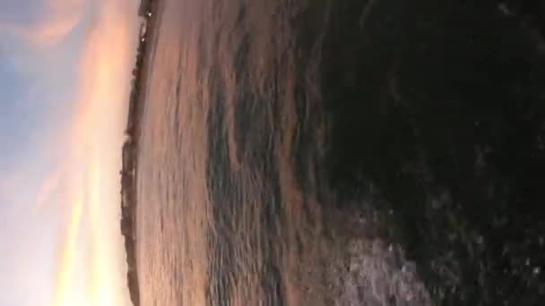 Tiro Vertical Surfista Montando Una Tabla Surf Mar Surf Atardecer — Vídeos de Stock