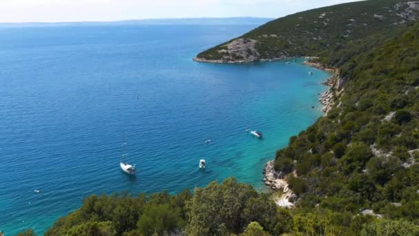 Aerial View Spectacular Beach Croatia Deep Blue Sea Green Vegetation — Stock Video