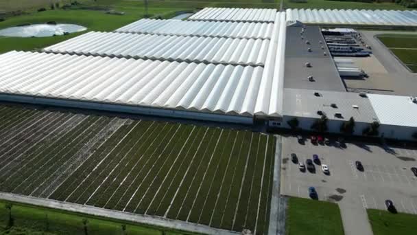 Establishing Aerial Large Commercial Greenhouses Ontario Canada — Stock Video