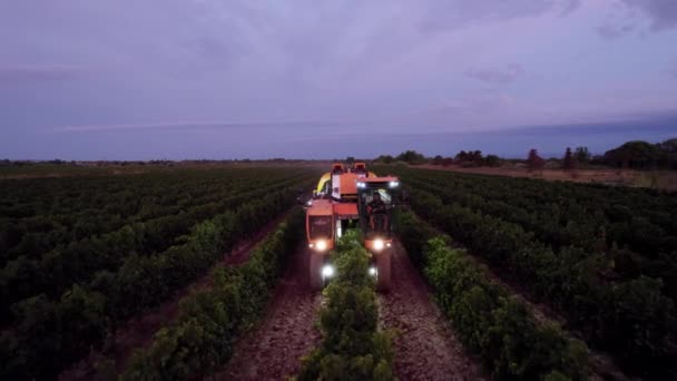 南フランスでブドウを収穫する農業機械 — ストック動画