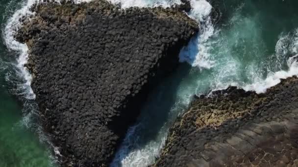 Booninybah Giant Echidna的故乡 由澳大利亚土著Goodjingburra部族命名 Fingal Heads Australia — 图库视频影像