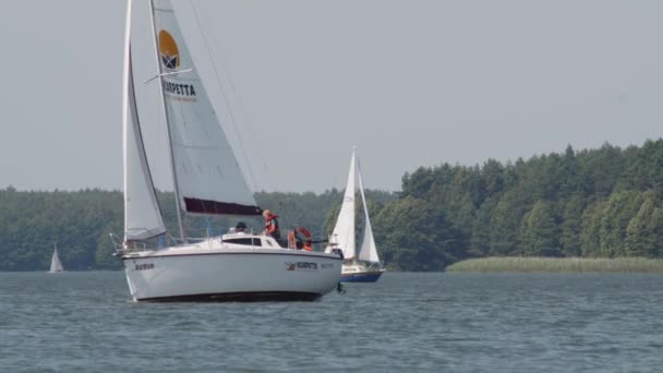 Segelbåtar Segling Den Lugna Sjön Dagen Med Tät Skog Bakgrunden — Stockvideo