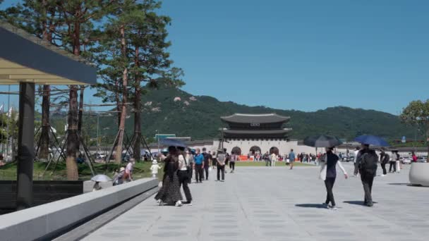 Újratervezett Seoul Gwanghwamun Plaza Koreai Tömeg Emberek Esernyők Forró Nyári — Stock videók