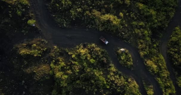 Caminhão Que Conduz Entre Estrada Florestal Carregada Areia Após Atividade — Vídeo de Stock