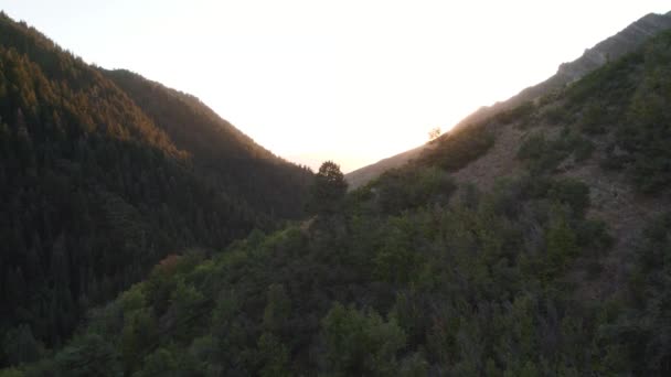 Wasatch Mountain Ridge Luftüberführung Utahs Millcreek Canyon Bei Sonnenuntergang — Stockvideo