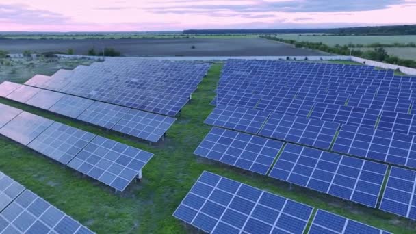 Painéis Solares Ângulo Ideal Fazenda Solar Produção Energia Verde — Vídeo de Stock