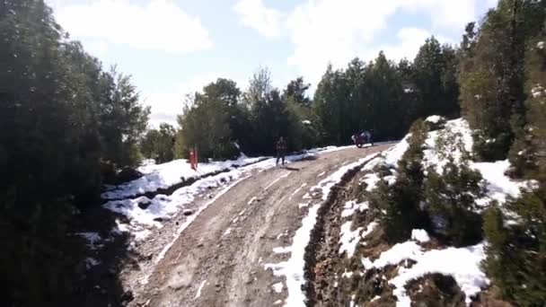 Чилийском Онколь Парке Разгар Снегопада Самолет Выкатился Пределы Дороги — стоковое видео