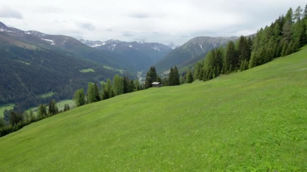 Flygdrönare Bilder Flyger Nära Alpin Äng Våren Full Blomma Mot — Stockvideo