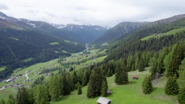 Flygdrönare Bilder Flyger Högt Över Alpin Äng Blomma Våren Med — Stockvideo