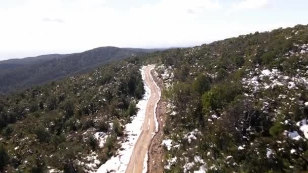 Oncol Park Şili Deki Karlı Ormanın Ortasındaki Toprak Yolun Havadan — Stok video