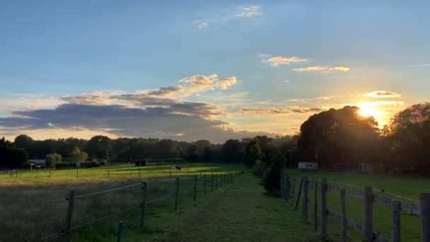 Паддок Поле Коней Прекрасному Заході Сонця Сурреї Англія — стокове відео