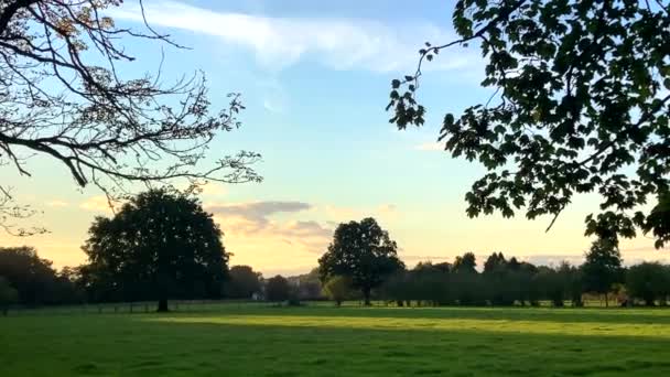 Hermosa Naturaleza Campo Atardecer Surrey Inglaterra — Vídeos de Stock