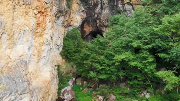 Drone Videó Mountainside Barlangról Emerald Village Ben Little Switzerland Közelében — Stock videók