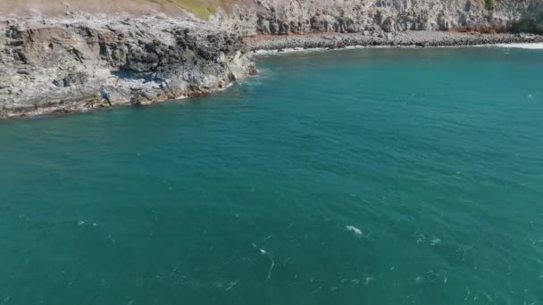 Een Luchtfoto Van Vogels Vanuit Wereldberoemde Oceaankliffen Landelijk Landschap Natuur — Stockvideo