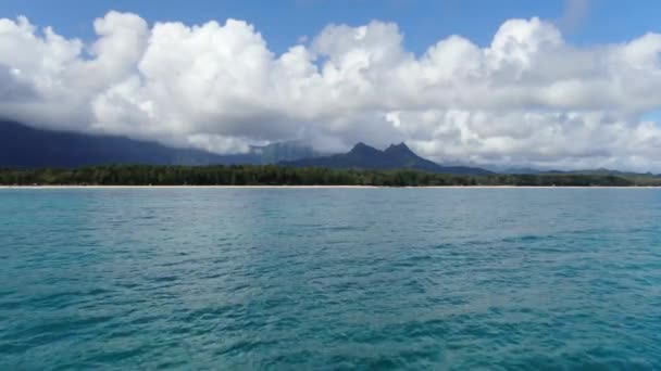 Spektakuläre Aussicht Auf Oahu Hawaii Ein Verträumtes Tropisches Inselparadies Tiefflieger — Stockvideo