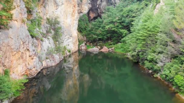 Drone Videó Burnett Branch Ről Emerald Village Ben Little Switzerland — Stock videók