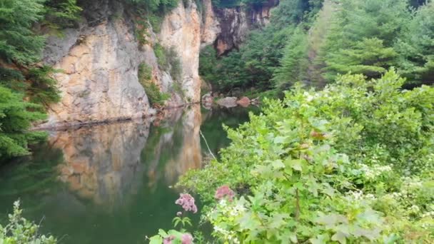 Drone Video Beautiful Mountain Pond Rodeado Árboles Emerald Village Cerca — Vídeos de Stock