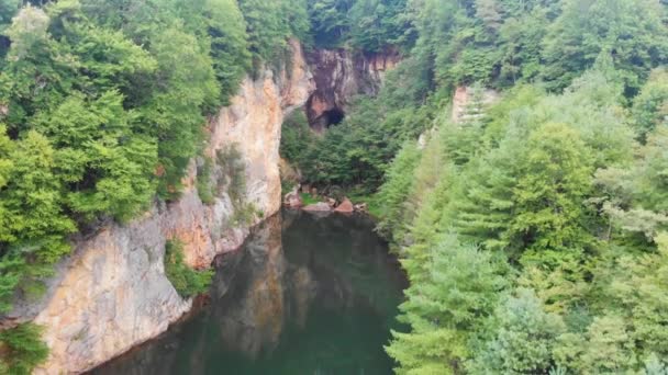 4Kドローン美しい山の池のビデオ夏の日にスイスのリトルスイス Nc近くのエメラルドビレッジの木に囲まれた — ストック動画