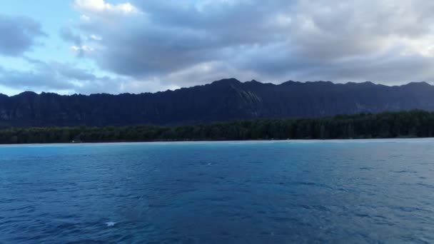 Aérea Orilla Este Oahu Hawaii Drone Paralaje Del Océano Bosque — Vídeos de Stock