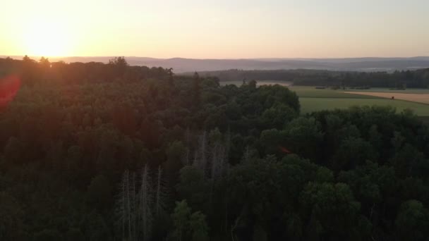 Зворотній Політ Кадрів Над Величезним Лісом Луками Помаранчевому Заході Сонця — стокове відео