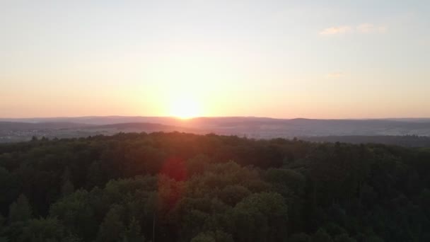 Snabbt Flygande Bilder Över Enorm Skog Vid Orange Solnedgång Och — Stockvideo