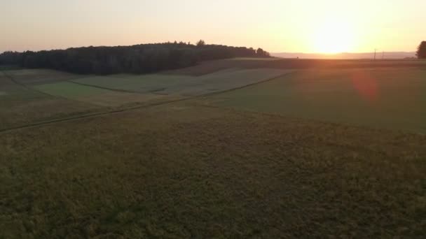 Drohnenflug Bei Sonnenuntergang Über Einem Landwirtschaftlichen Feld Das Von Wäldern — Stockvideo