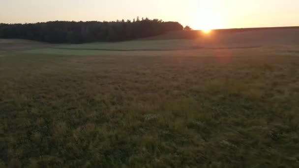 Vista Baixa Rápida Olho Pássaro Voador Pôr Sol Prados Campos — Vídeo de Stock