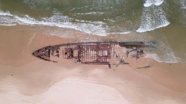 Descente Épave Maheno Dans Île Fraser Australie — Video