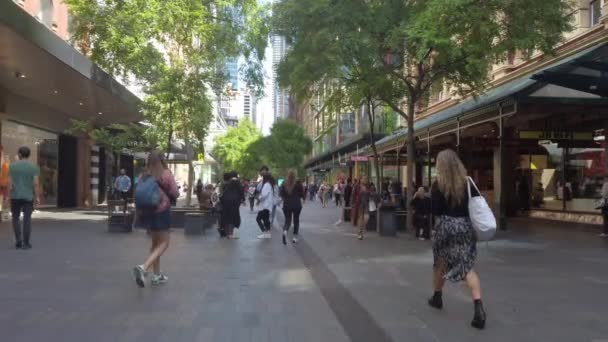 Statyczne Zdjęcie Ruchliwej Dzielnicy Handlowej Pitt Street Mall Sydney Cbd — Wideo stockowe