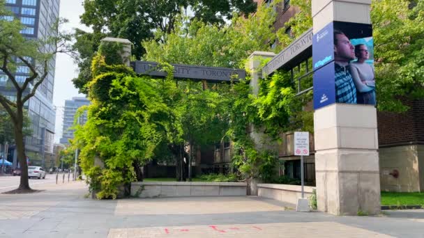 Входной Знак Кампуса Университета Торонто Сент Джордж Колледж Стрит — стоковое видео