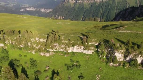 Bellissimo Altopiano Erboso Durante Pomeriggio Sole Sulle Alpi — Video Stock