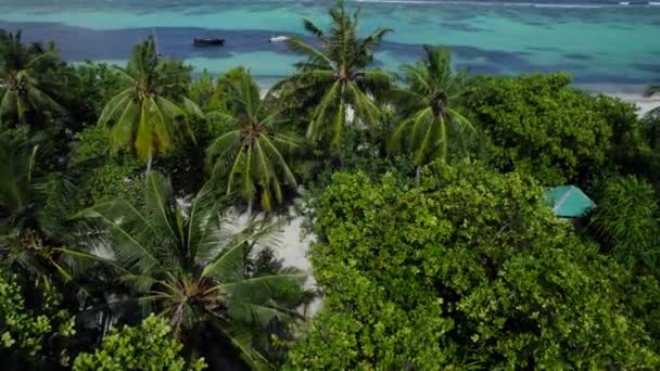 モルジブの島のターコイズブルーの海に係留された2隻のボートを明らかにするドローンジンバル — ストック動画