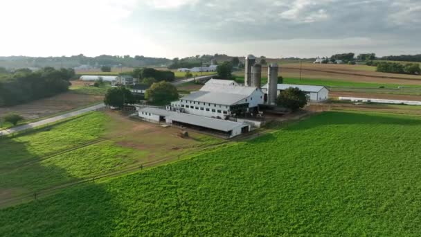 Familiefarm Usa Hvide Stalde Bygninger Grønne Afgrøder Sommer Antenne Udsigt – Stock-video