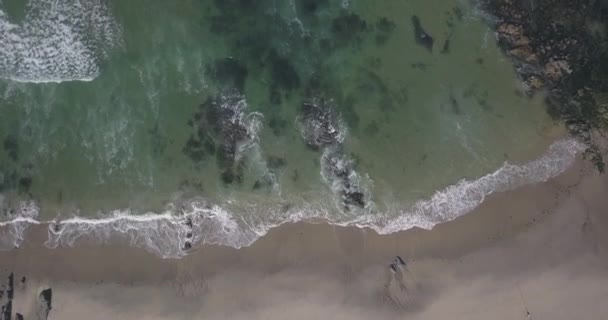 Piccole Onde Che Colpiscono Rocce Sulla Spiaggia Oceano Verde — Video Stock