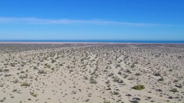 Utsikt Över Drönare Flyger Runt Land Nära Havet — Stockvideo