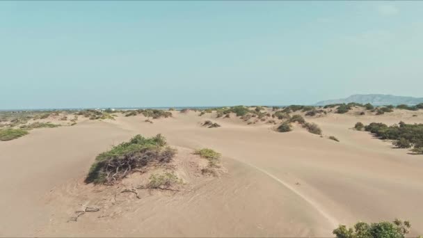 Vista Aérea Baja Sobre Bancos Arena Vegetación Las Dunas Bani — Vídeo de stock