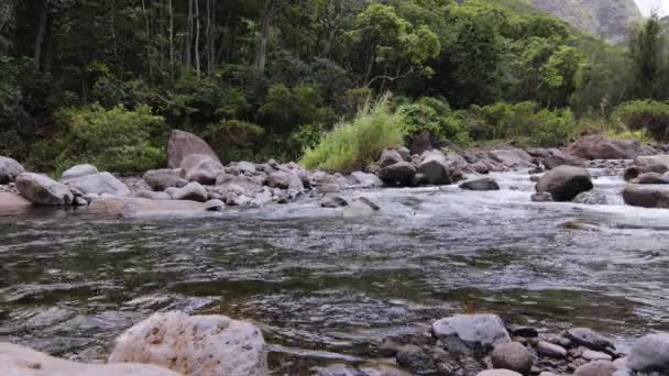 Швидкий Потік Води Тече Через Джунглі Долини Мауї Статичний Постріл — стокове відео